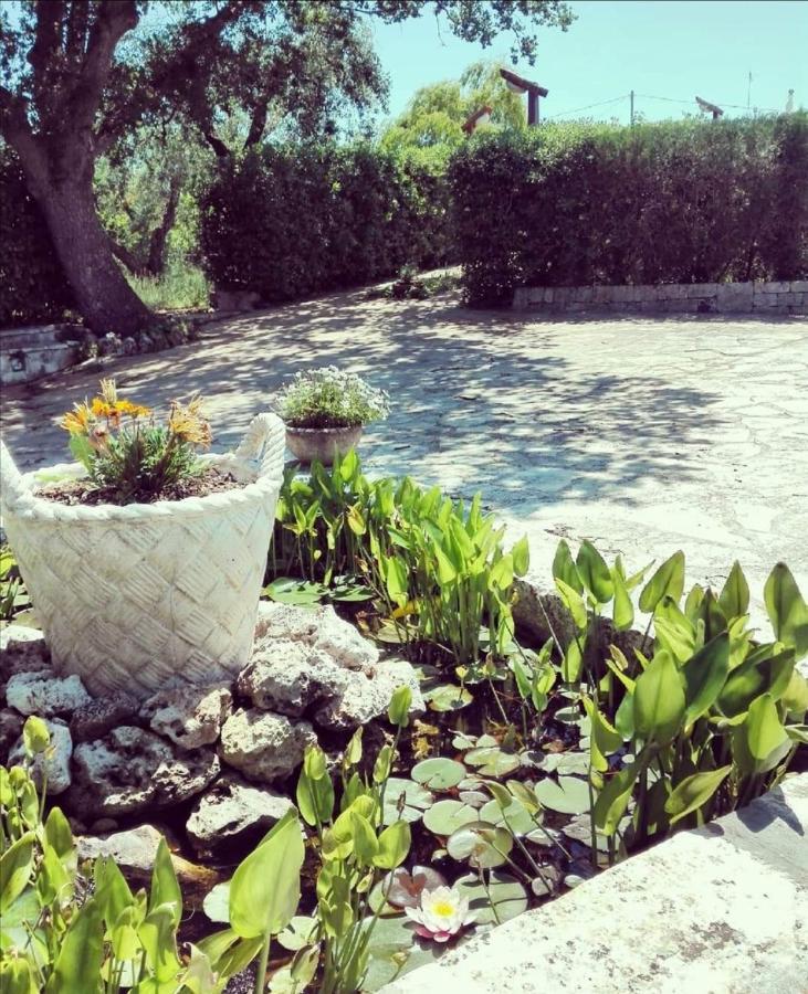 Villa Trulli Francesca Ciclovia à Locorotondo Extérieur photo